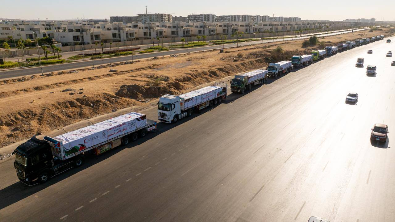 صندوق تحيا مصر