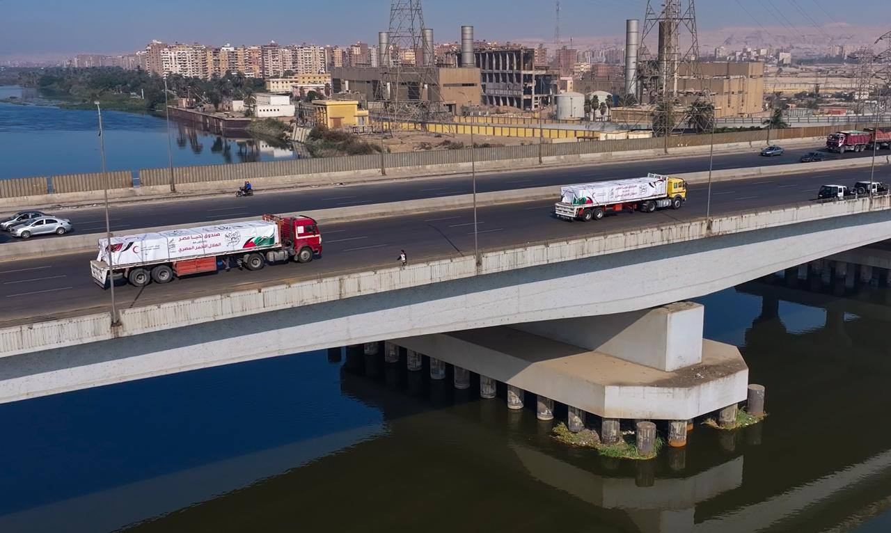 صندوق تحيا مصر