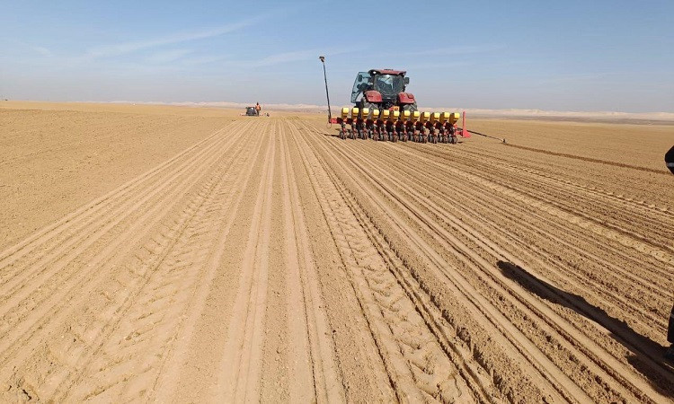 مشروع الدلتا الجديدة