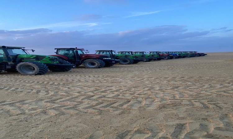 مشروع الدلتا الجديدة