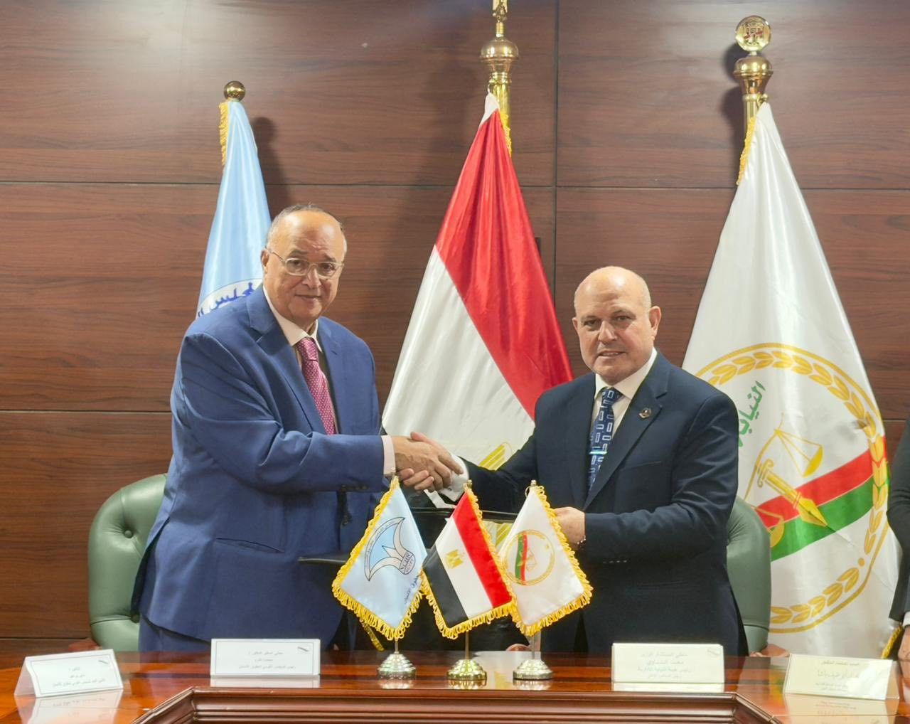 النيابة الادارية