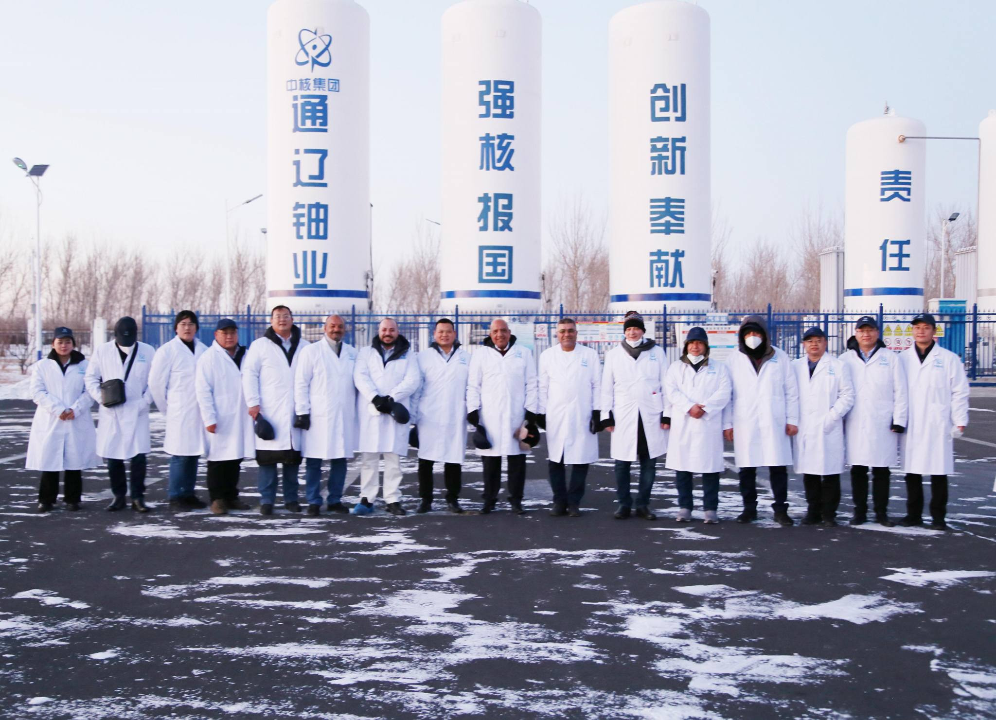 لدكتور محمود عصمت