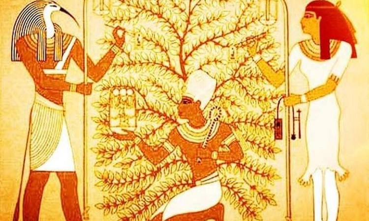 المصري القديم أول من زين الأشجار احتفالا بالعام الجديد