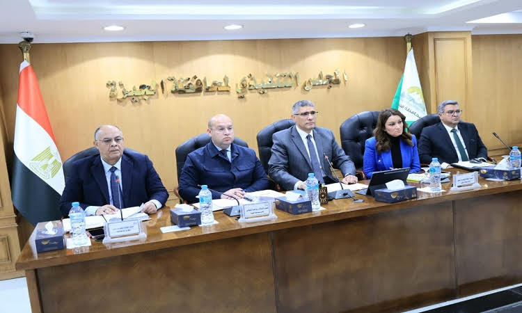 المجلس التنفيذي