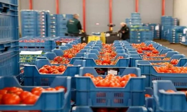 د.محمد المنسي: ثقة دولية متزايدة في جودة المنتج المصري