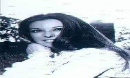 الطير المسافر