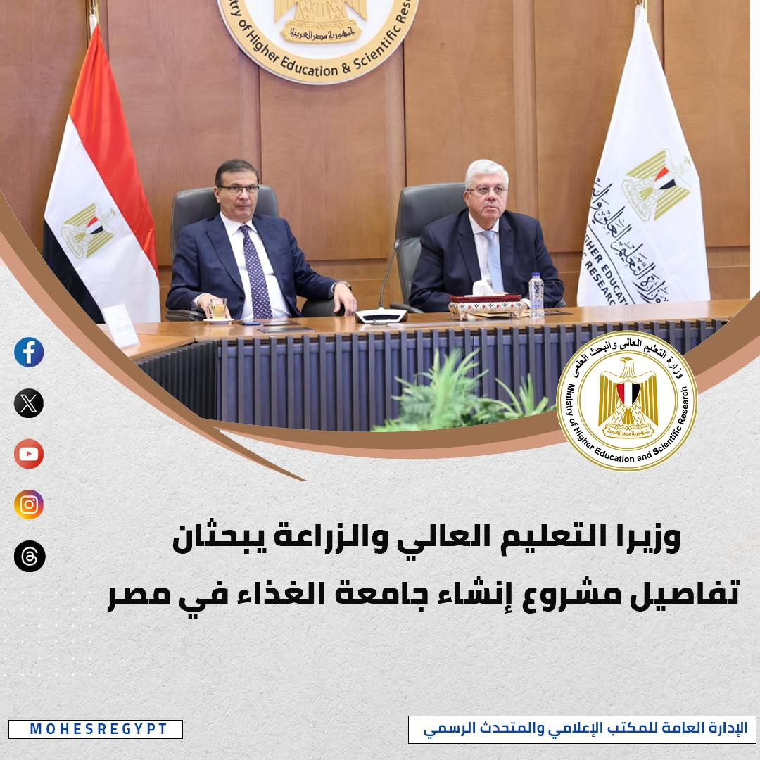 التعليم العالي