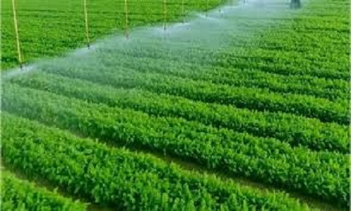 زراعة أسيوط تدخل مرحلة التطوير الشامل.. ري حديث ودعم للمزارعين