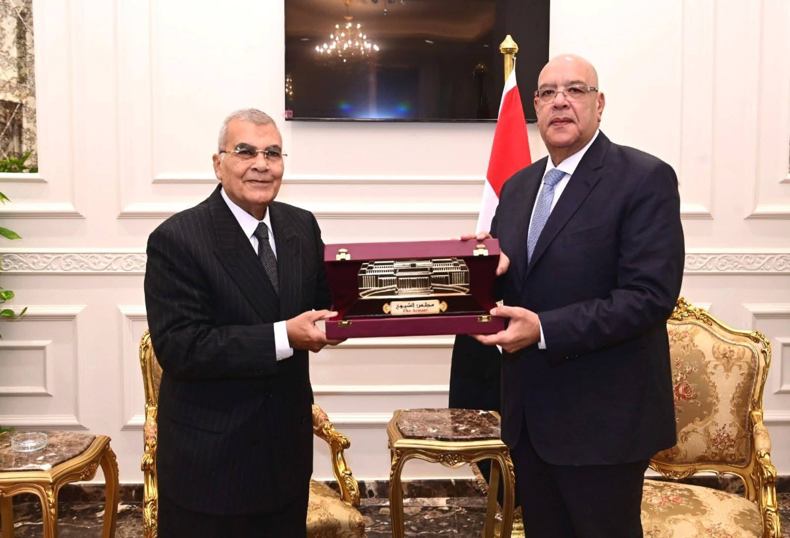 المستشار هشام بدوي