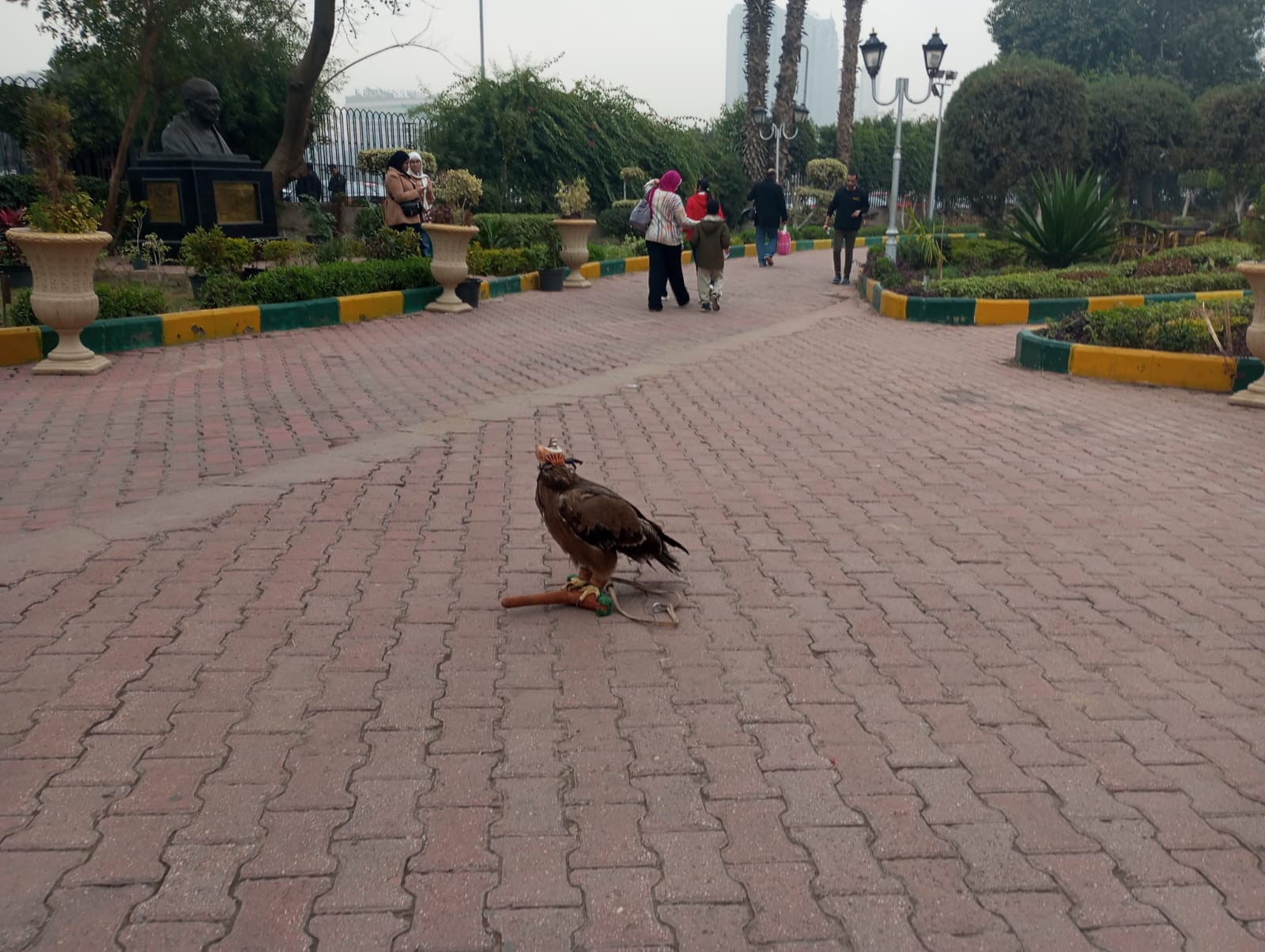 معرض كنوز مطروح