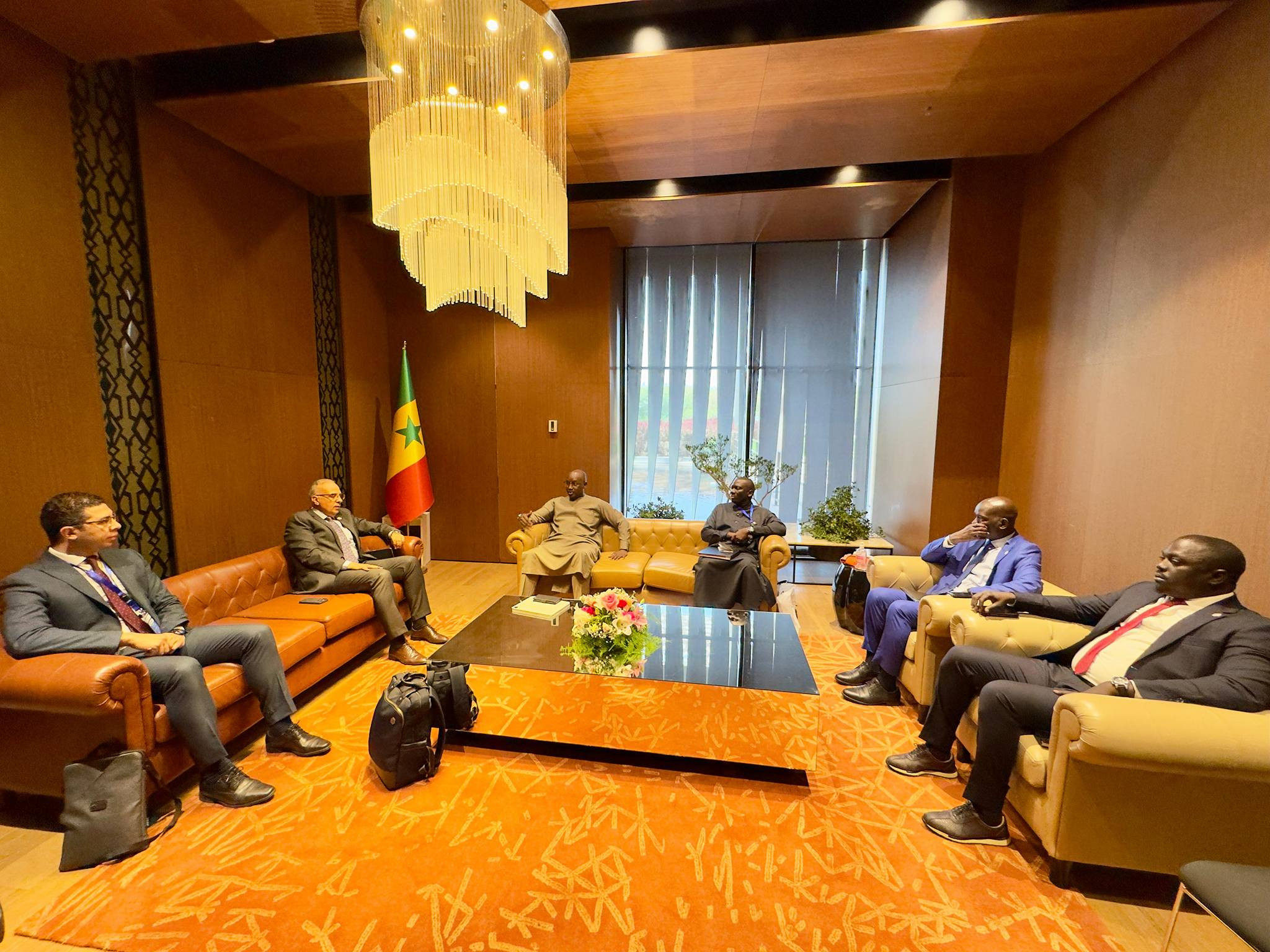 وزير الري ونظيره السنغالي