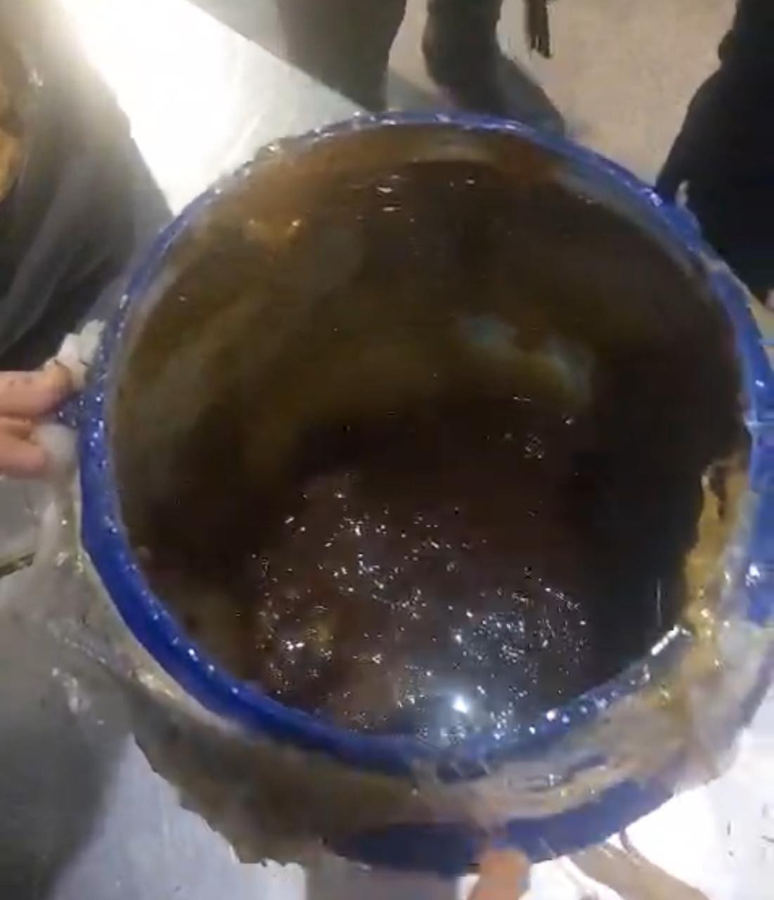 مخدرات داخل عبوات عسل