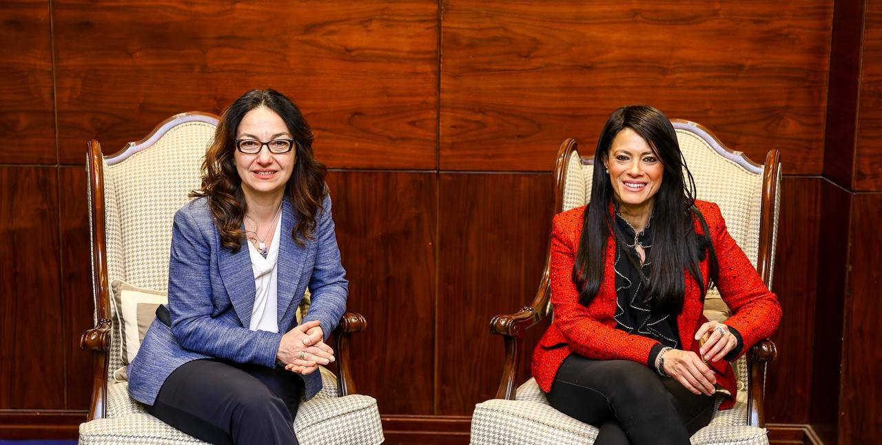 وزيرة التخطيط