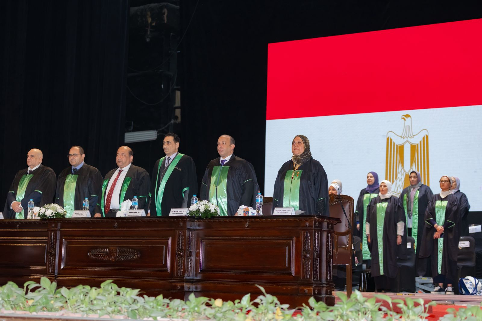 طب قصر العيني