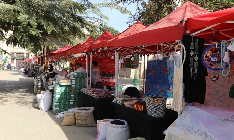 وزير الزراعة: مصر الأولى عالميًا في إنتاج التمور بـ 2 مليون طن سنويًا