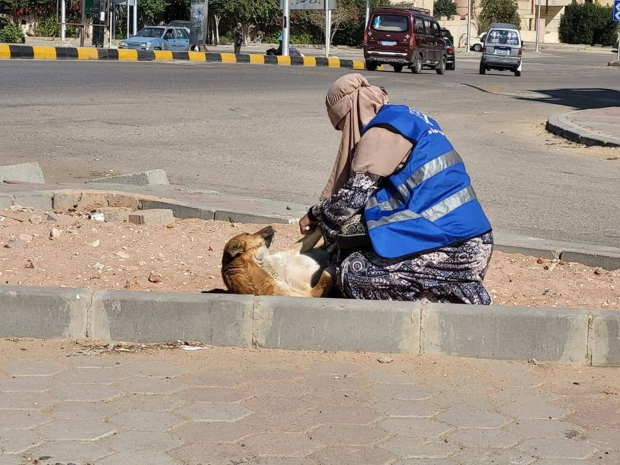 تطعيم الكلاب