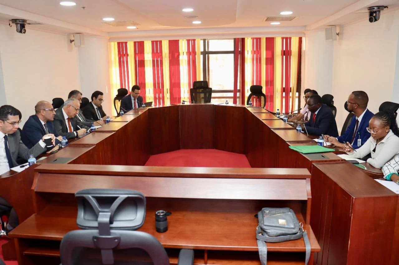 المشروعات التنموية