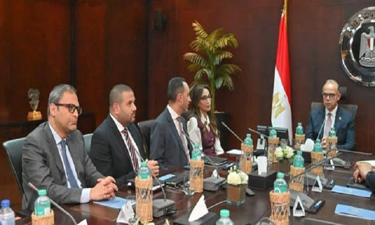 جذب الاستثمارات النوعية
