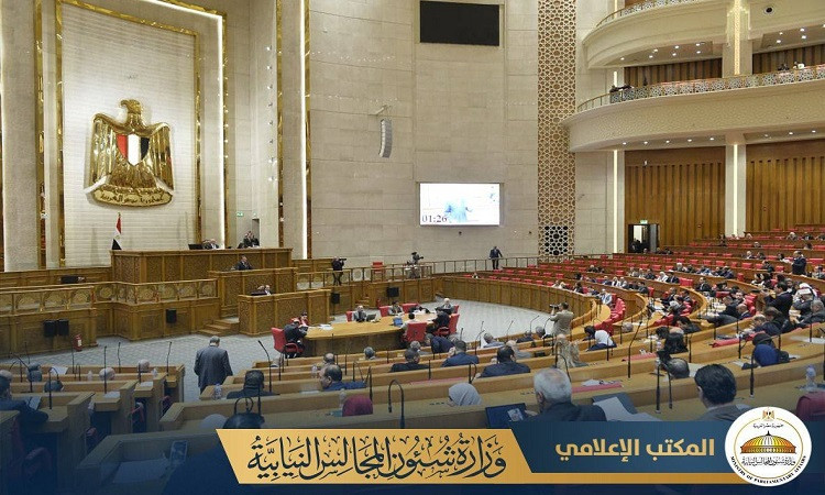 المستشار هاني حنا،