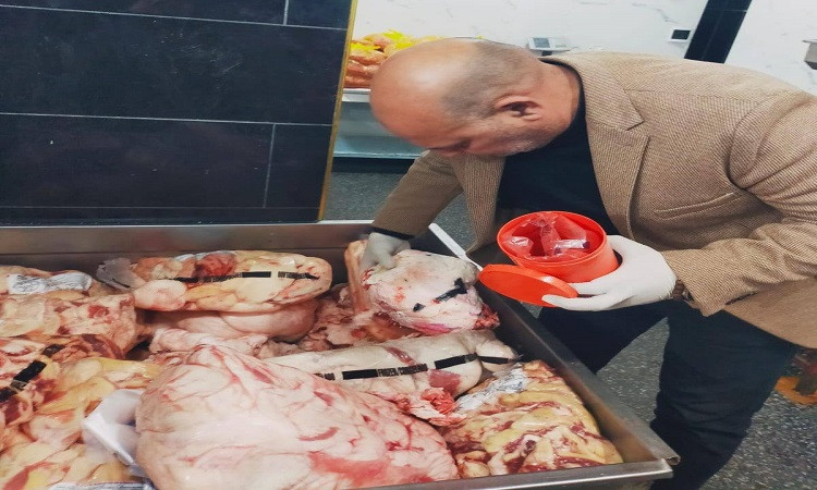 ضبط 1500 كجم لحوم غير صالحة للاستهلاك بمركز الخانكة