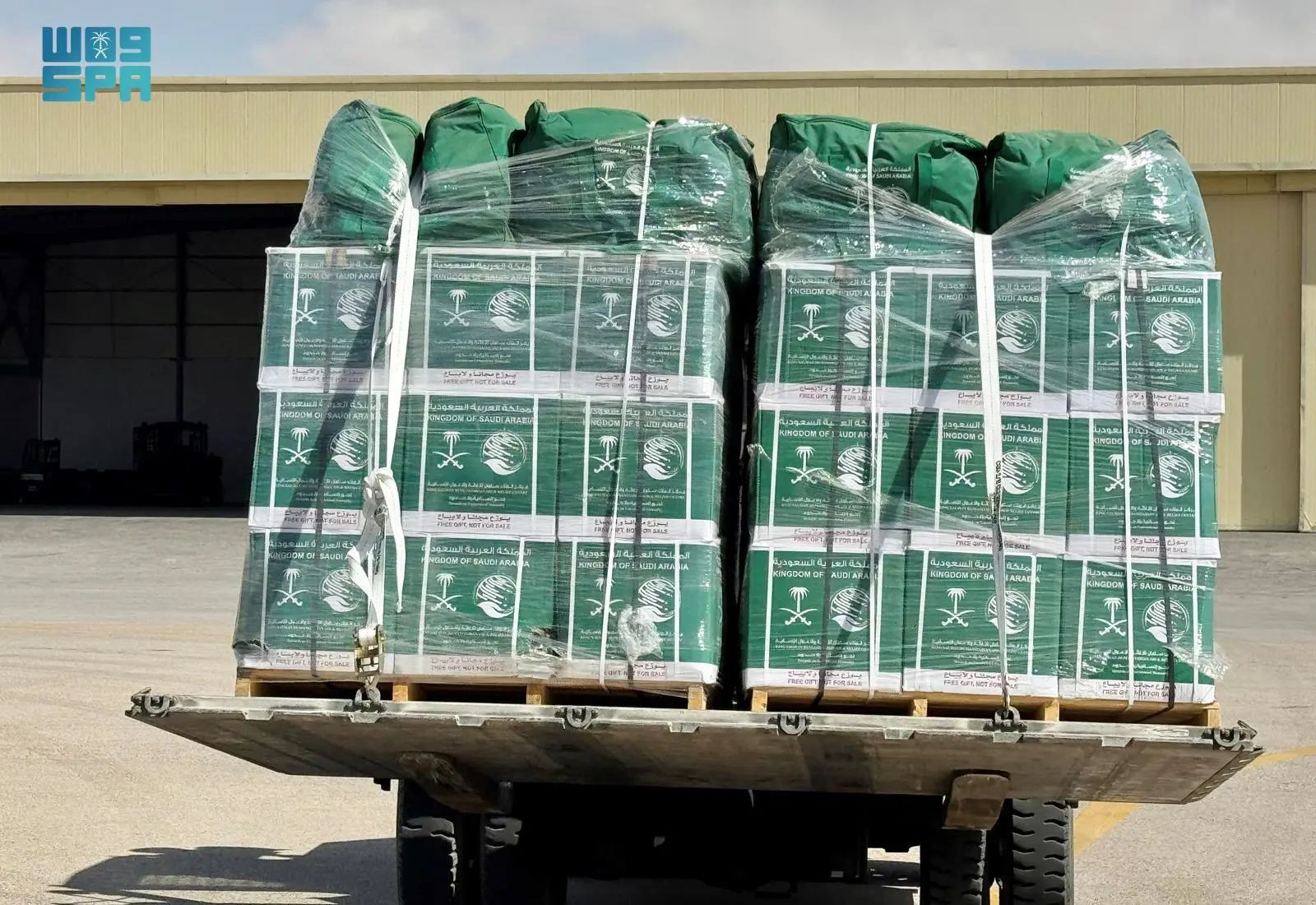 الطائرة الإغاثية السعودية