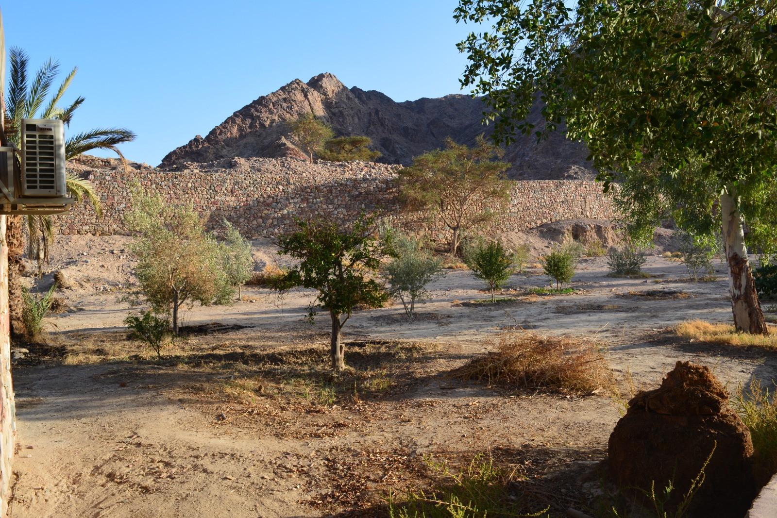 اعتكاف في دير البنات