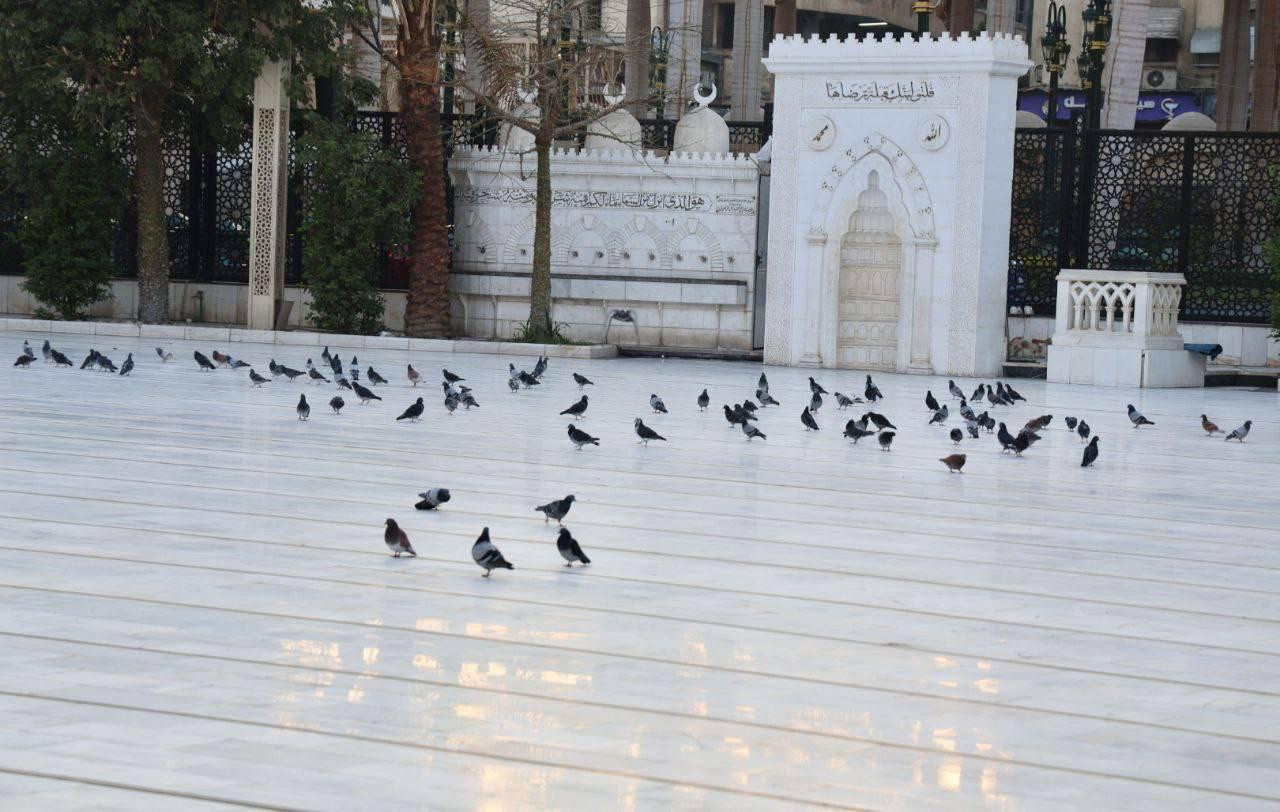 وزير الأوقاف