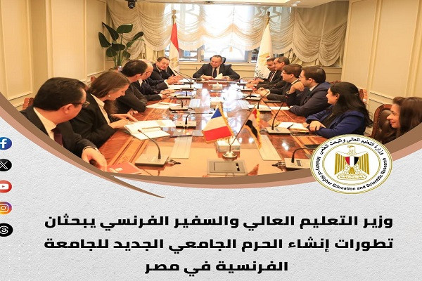 التعليم العالي