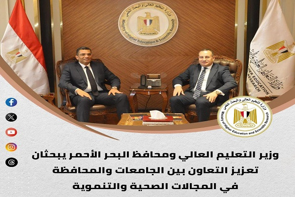 التعليم العالي