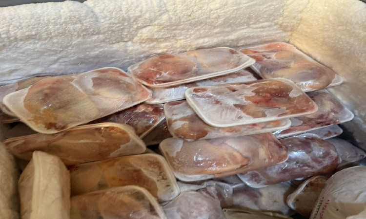 تحرير 39 محضرًا خلال حملات&nbsp;تموينية&nbsp;مكثفة&nbsp;بالغربية