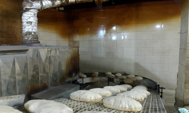 تحرير 237 محضرًا تموينيًا وضبط 20 طن أعلاف مجهولة المصدر بالمنوفية