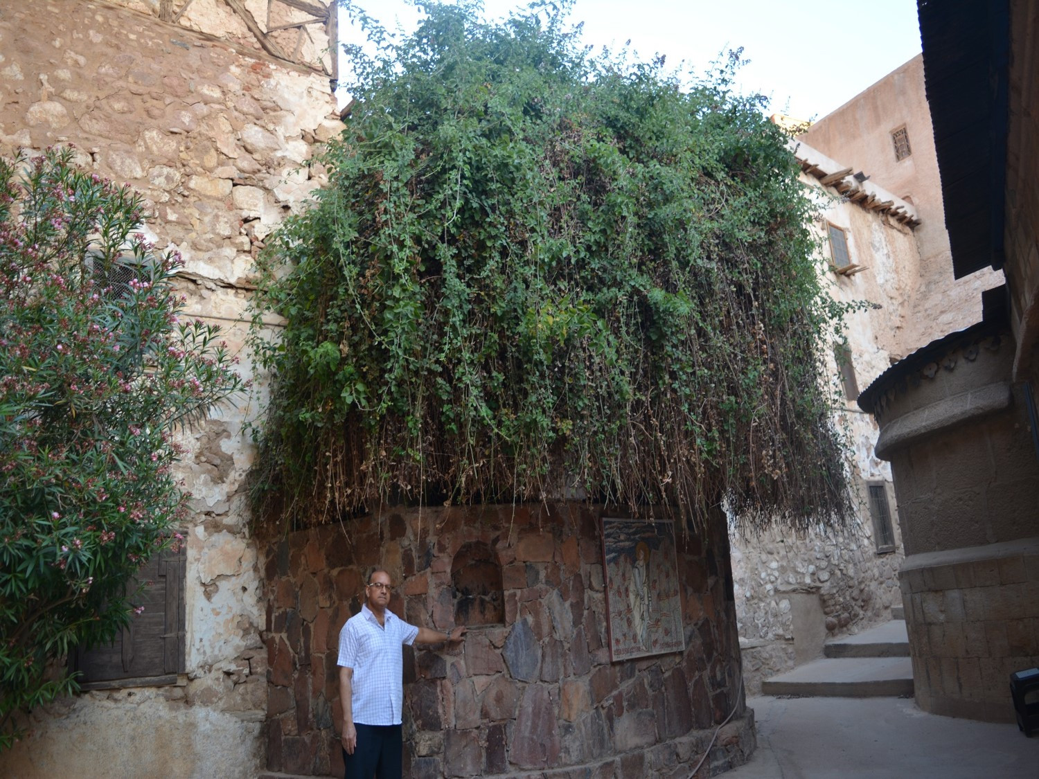 سيناء ارض مقدسة