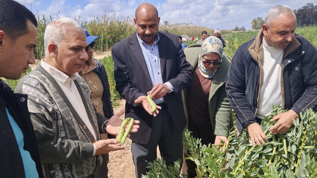 برامج انتاج التقاوي