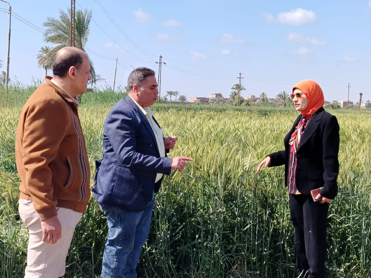 الزراعة في الفيوم