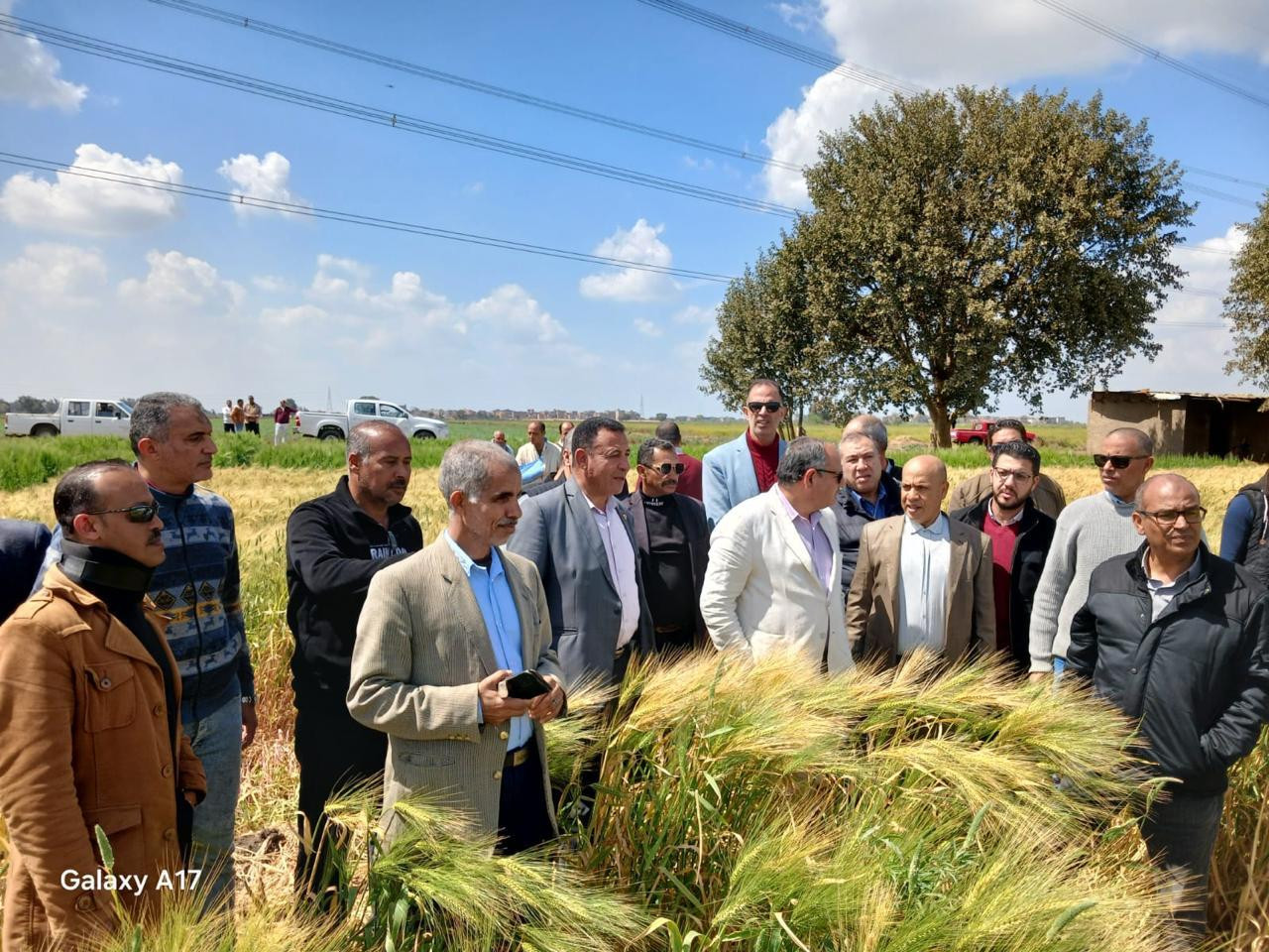 محطة بحوث سخا