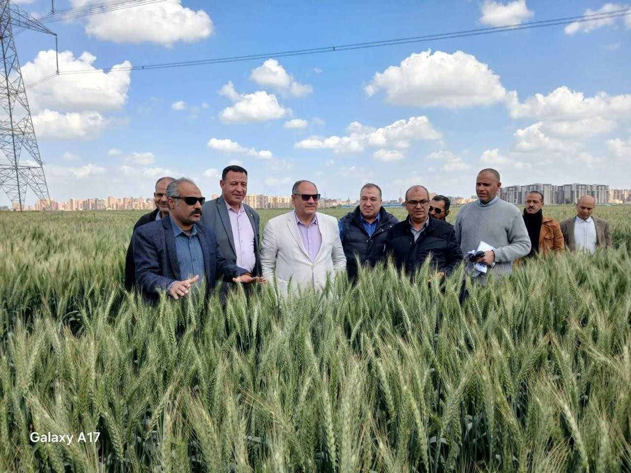 محطة بحوث سخا