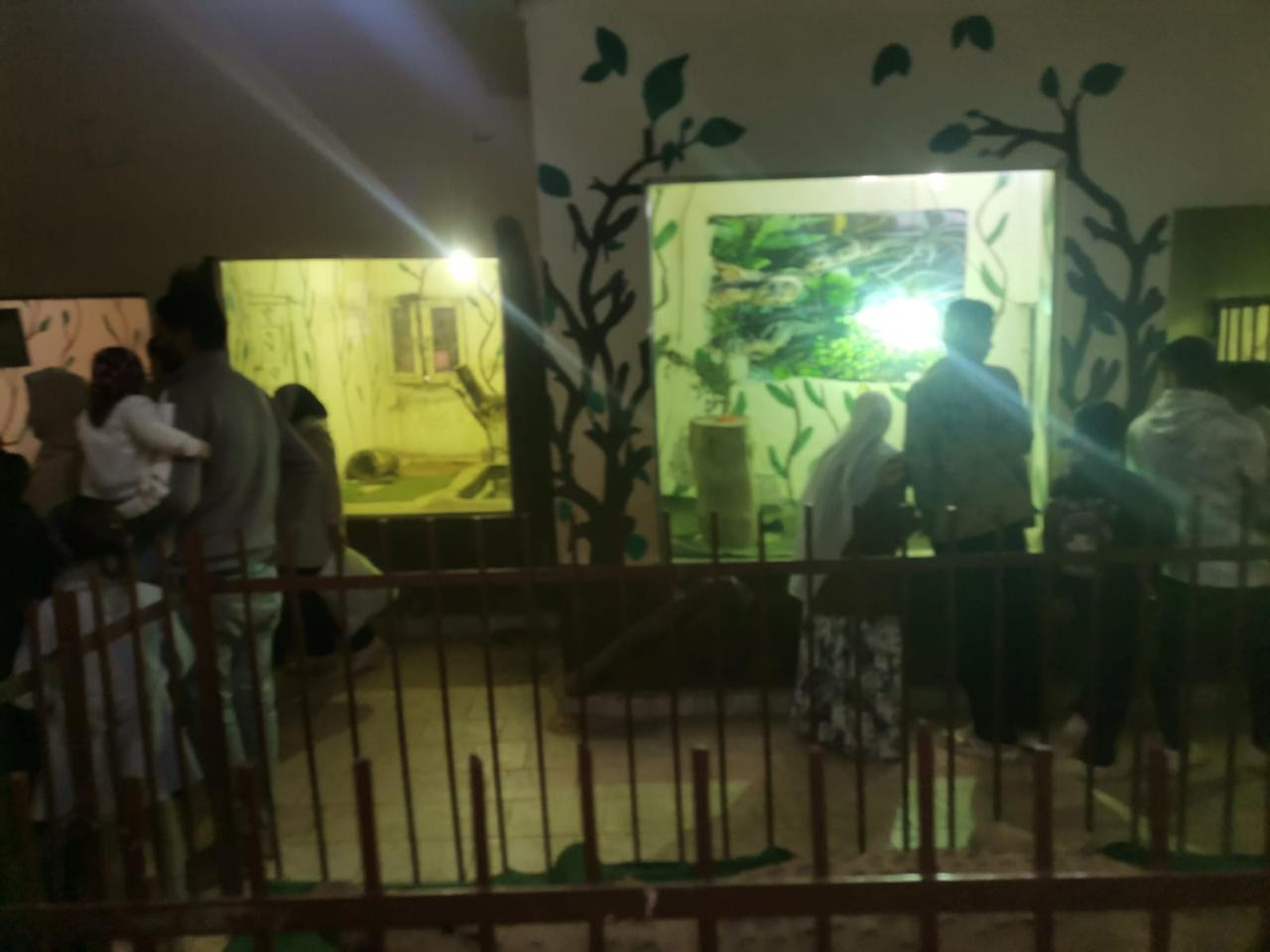 زوار حدائق الحيوان والاسماك