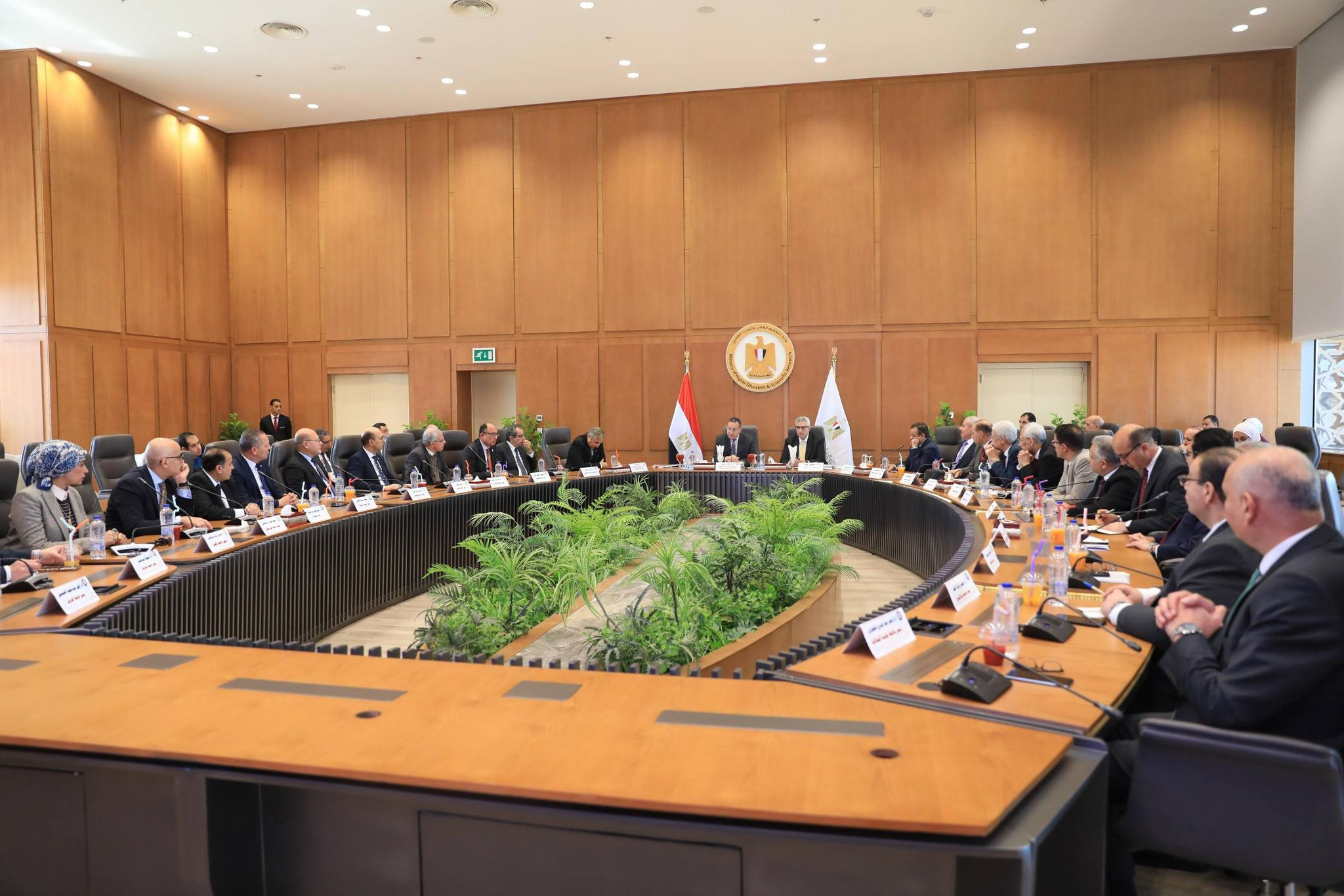 التعليم العالي