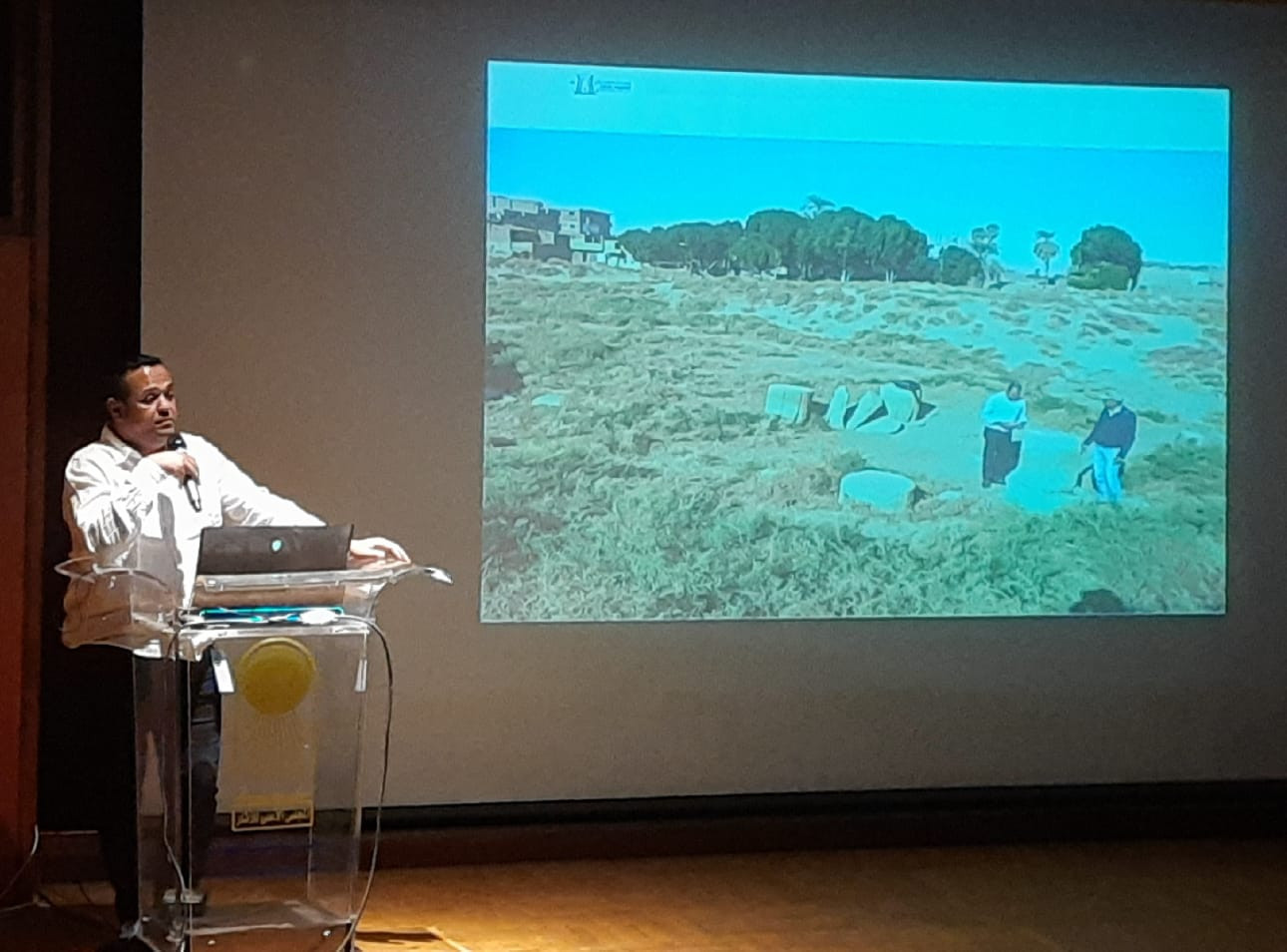 المجلس الأعلى للاثار