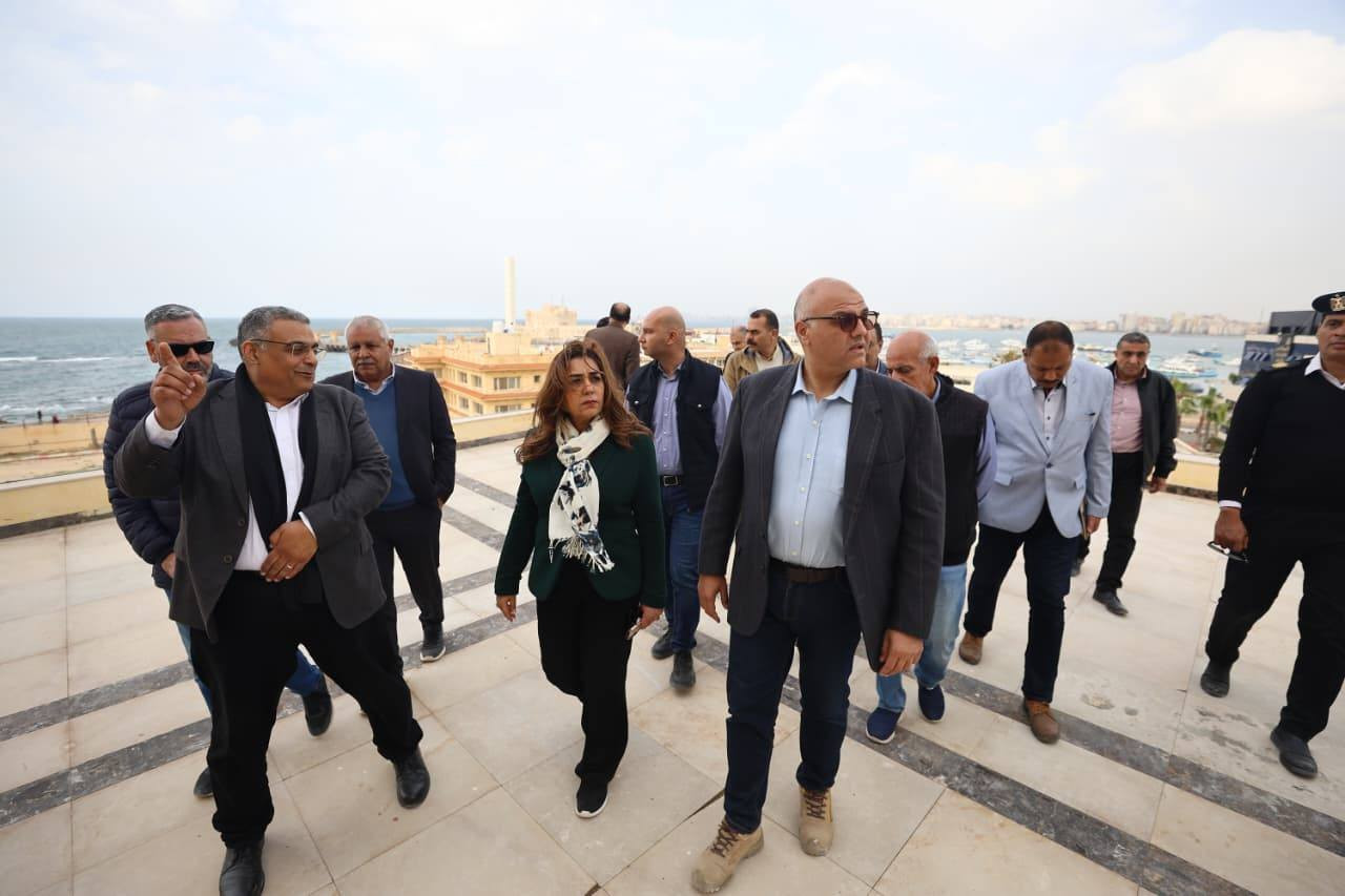 التمية المحلية