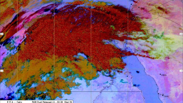 العاصفة الدموية