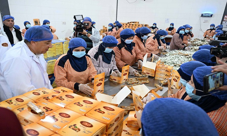 رئيس الوزراء يجري جولة تفقدية بعدد من الشركات بالمنطقة الاستثمارية بمد