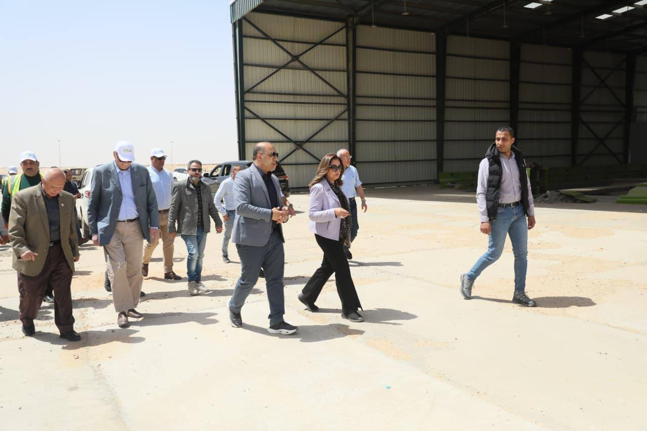 وزيرة التنمية المحلية