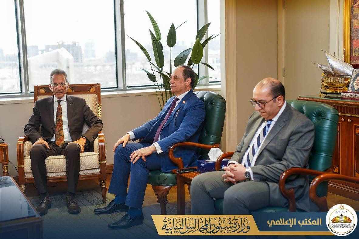 المجالس النيابية