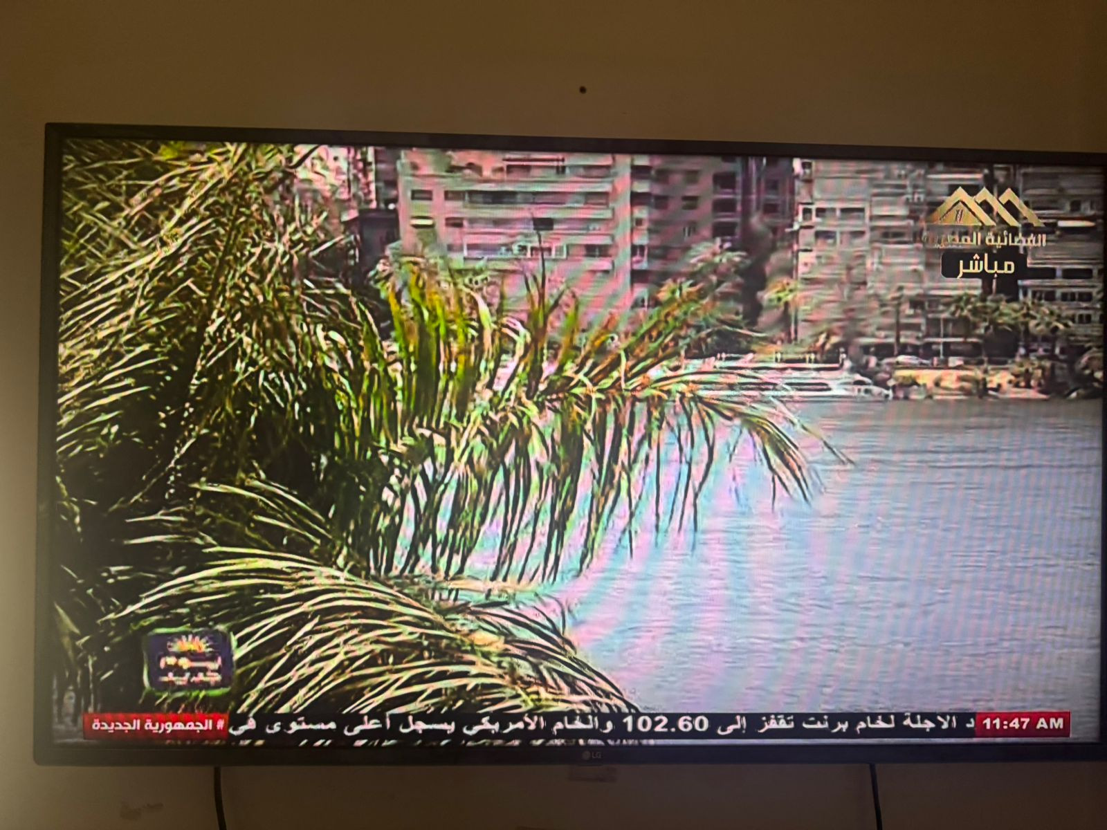 ستوديو ماسبيرو