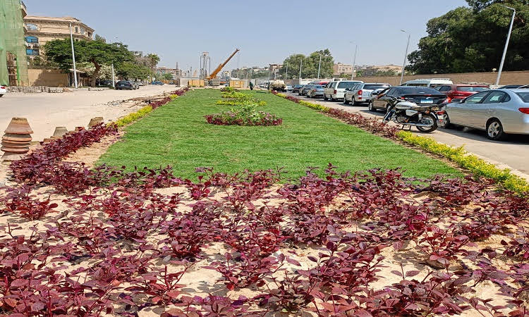 الجيزة ترفع 1450 طن مخلفات بالمنصورية وأرض الرخام بالمنيرة الغربية