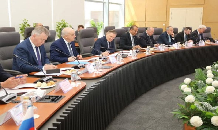 مشروع المحطة النووية بالضبعة