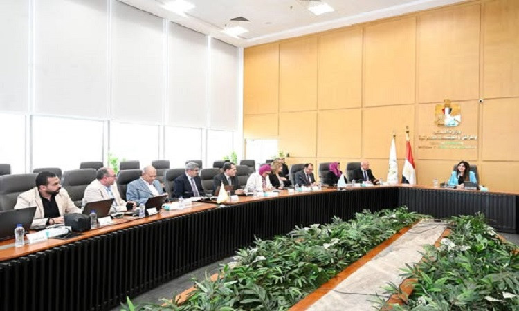 وزيرة الإسكان