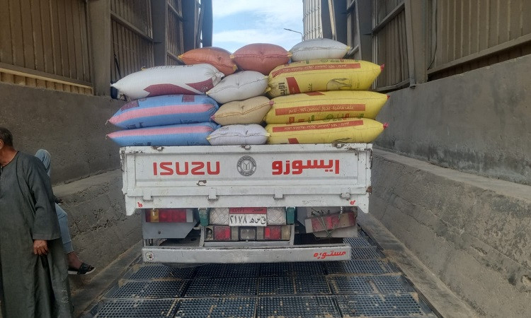 محافظ القليوبية يتابع الاستعدادات لموسم توريد القمح المحلي