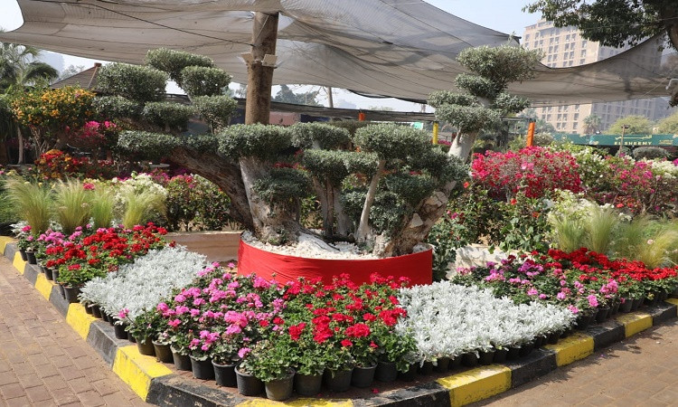 محافظة القاهرة تشارك في معرض زهور الربيع بجناح لهيئة النظافة يضم 150صن